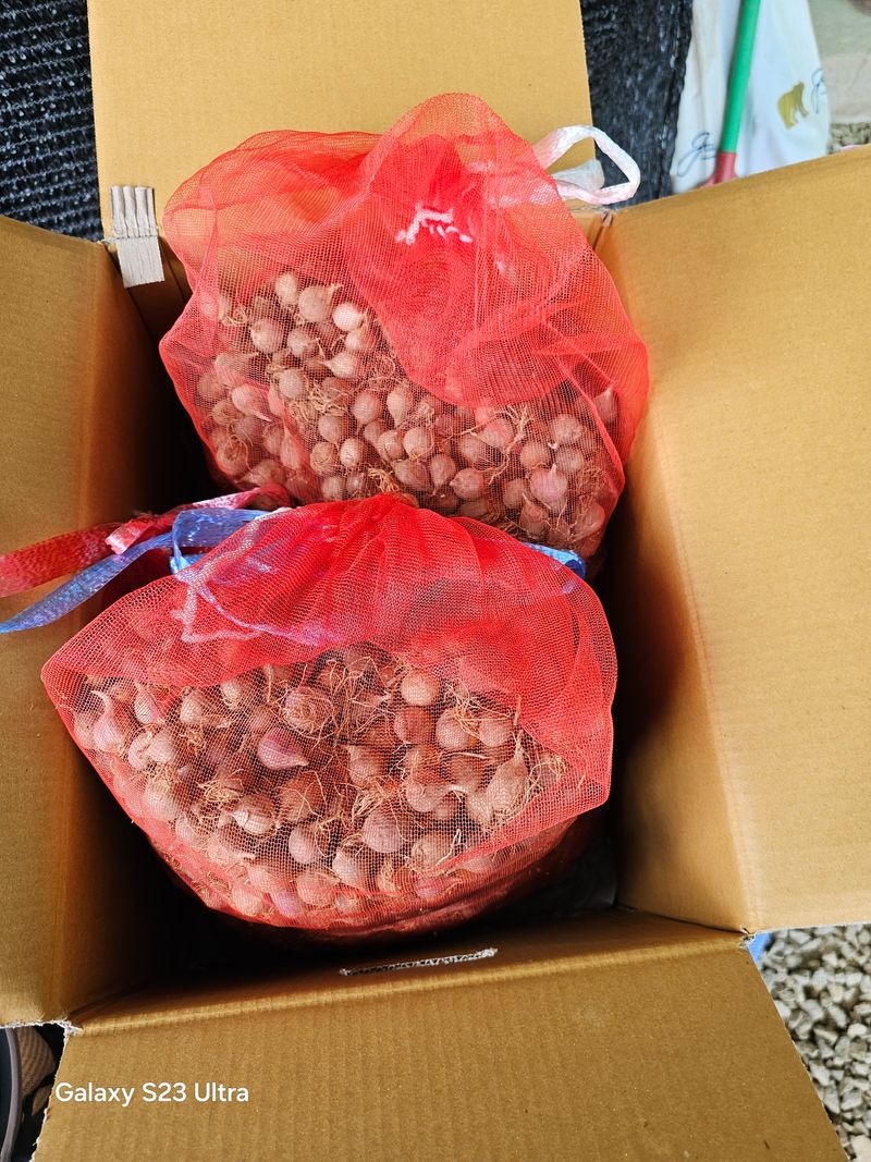 김대봉님의 장터 구매 후기 썸네일