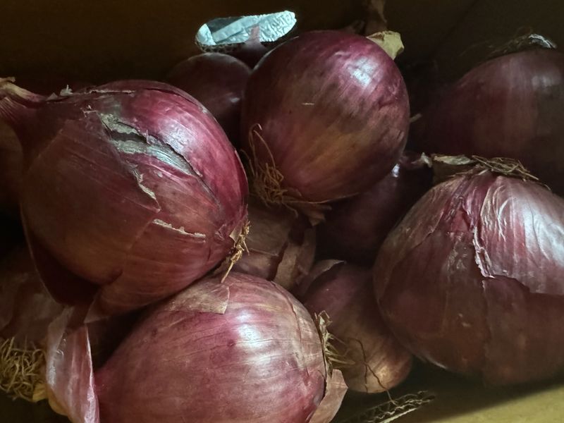 장기범님의 장터 구매 후기 썸네일