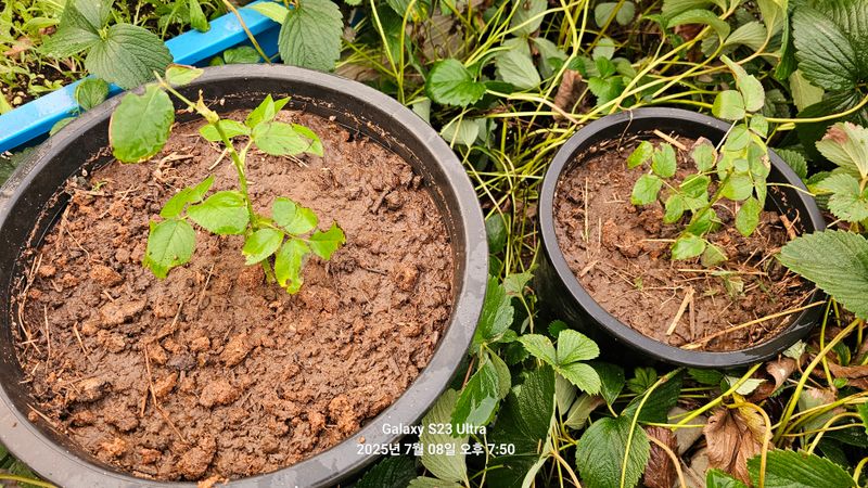 윤지상님의 장터 구매 후기 썸네일