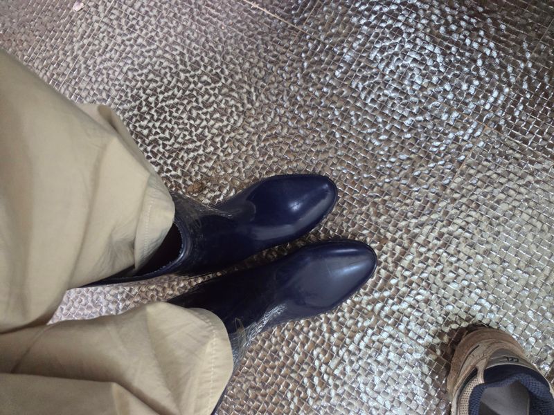 예산감자다현5438님의 장터 구매 후기 썸네일