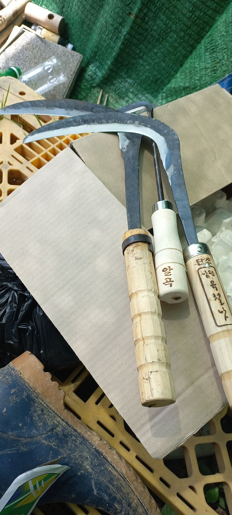 최창호님의 장터 구매 후기 썸네일