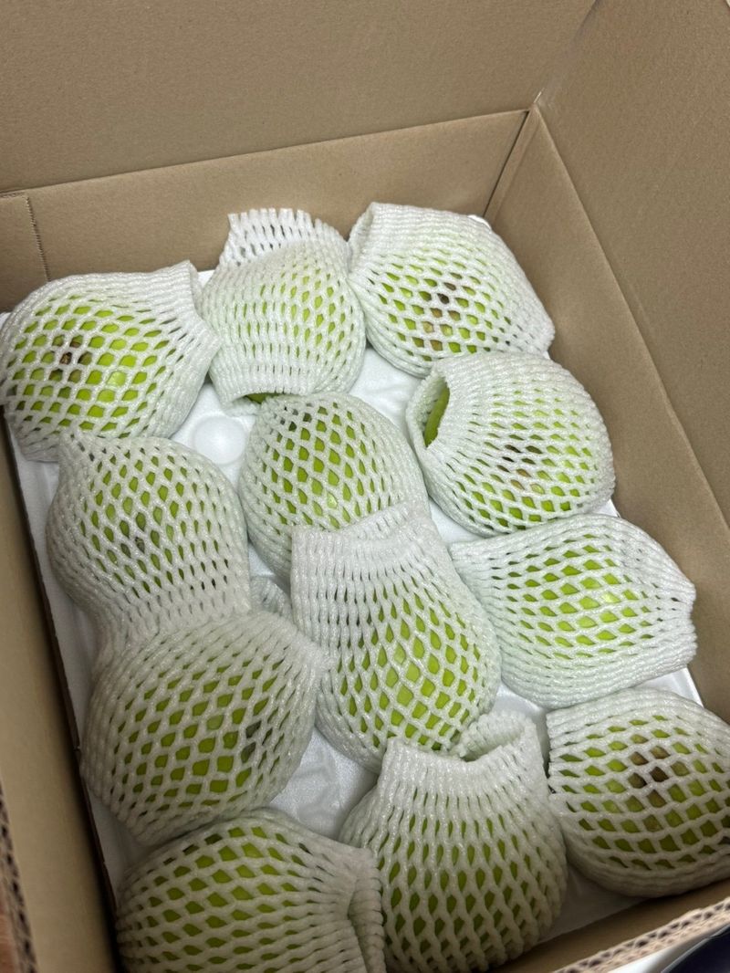 나주상남자님의 장터 구매 후기 썸네일