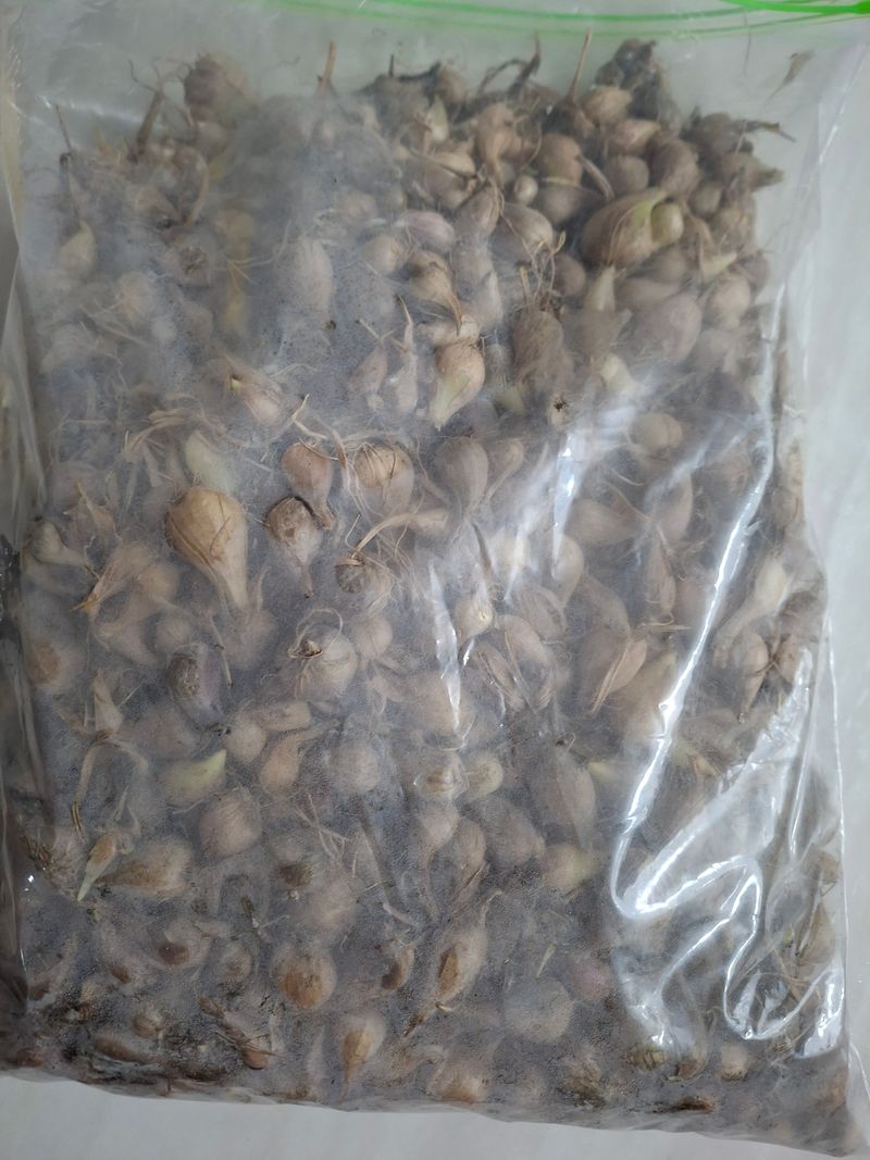 박진하님의 장터 구매 후기 썸네일