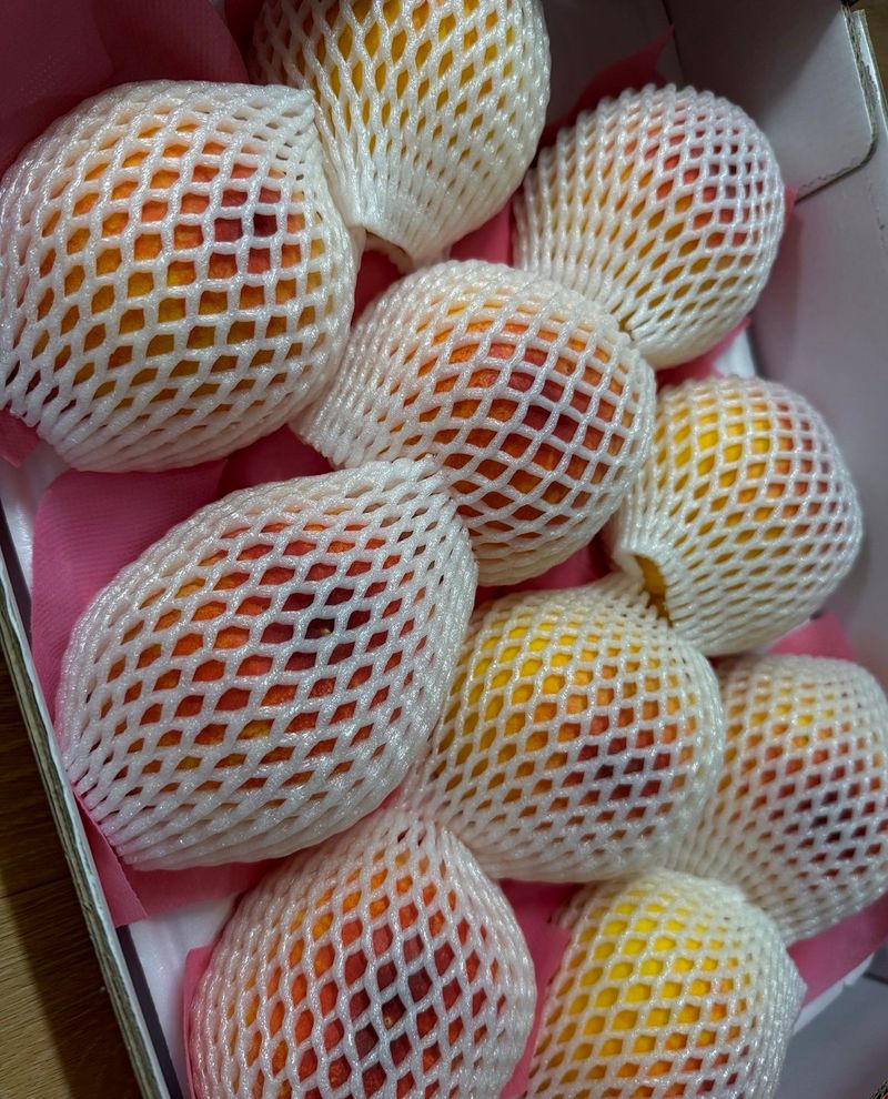 김용억님의 장터 구매 후기 썸네일