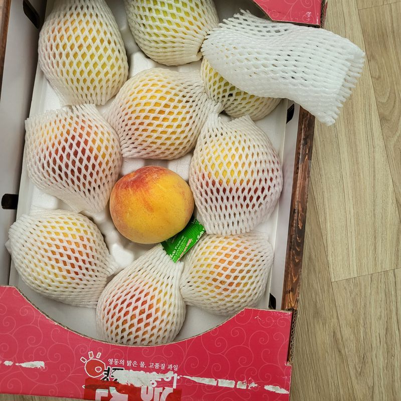 푸른마을님의 장터 구매 후기 썸네일