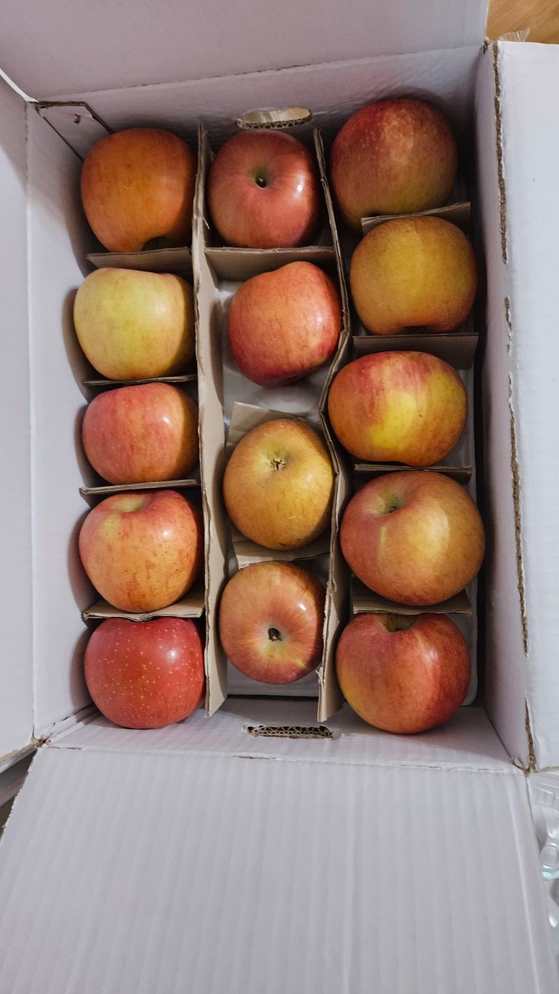 둘리아버지님의 장터 구매 후기 썸네일