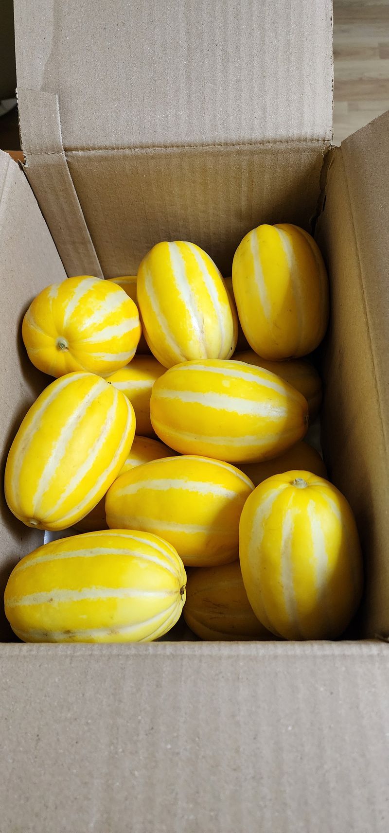 박은희님의 장터 구매 후기 썸네일