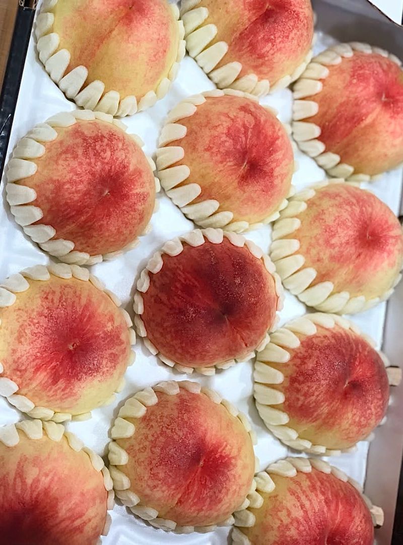 김정겸님의 장터 구매 후기 썸네일