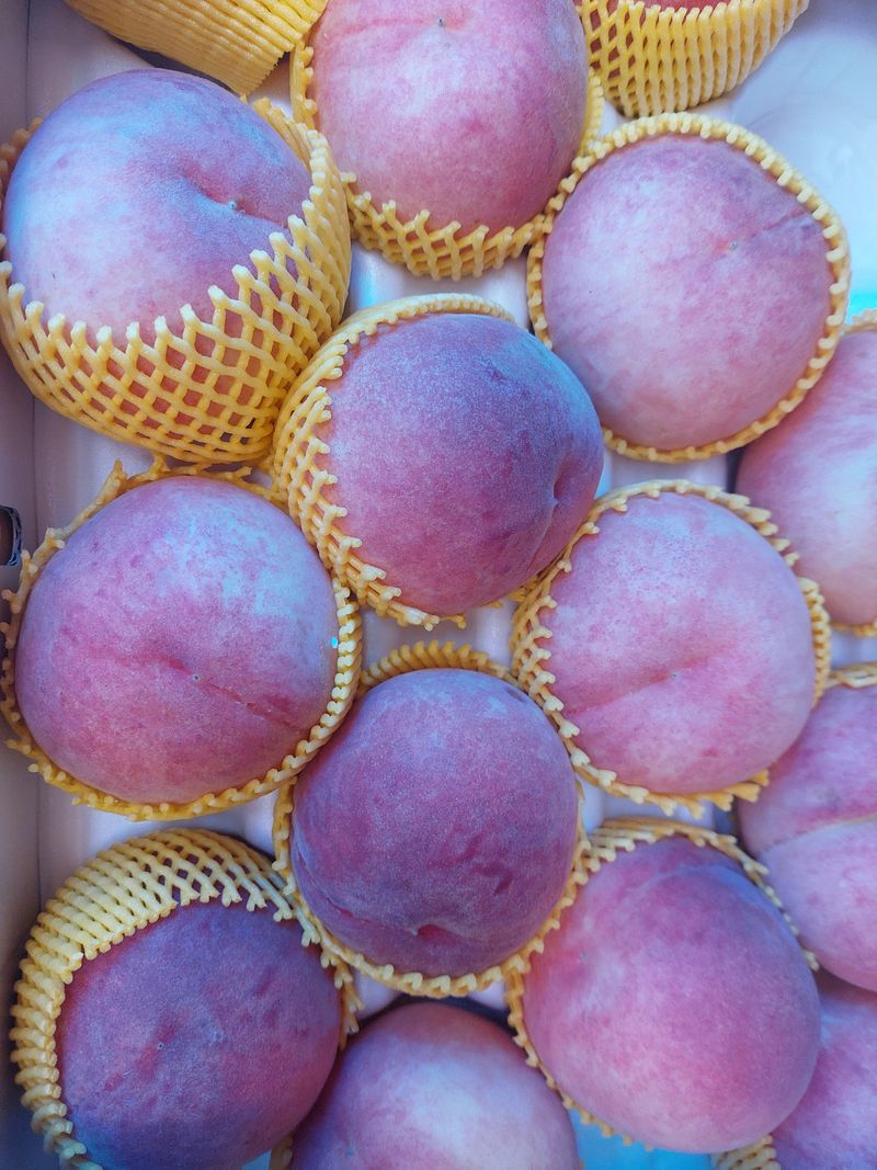 박도이님의 장터 구매 후기 썸네일