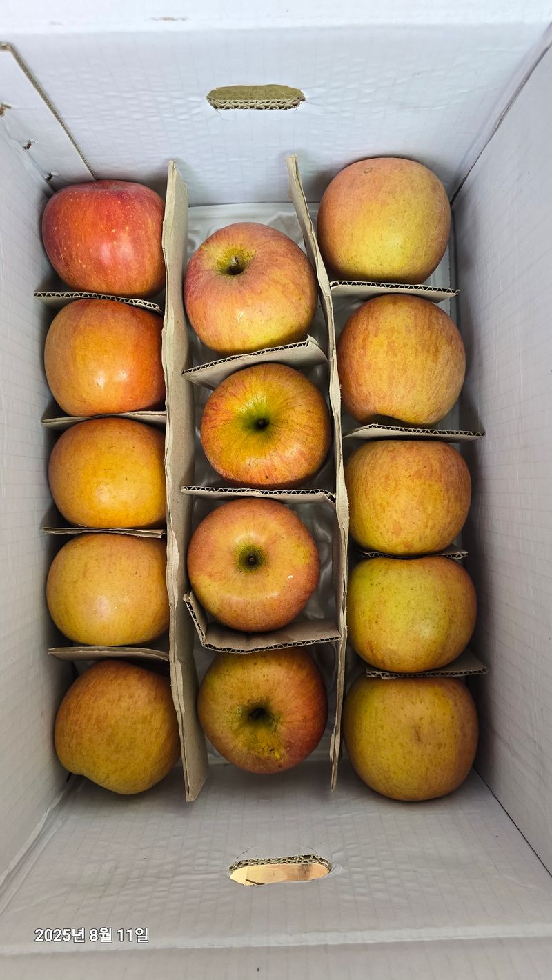 김선옥님의 장터 구매 후기 썸네일