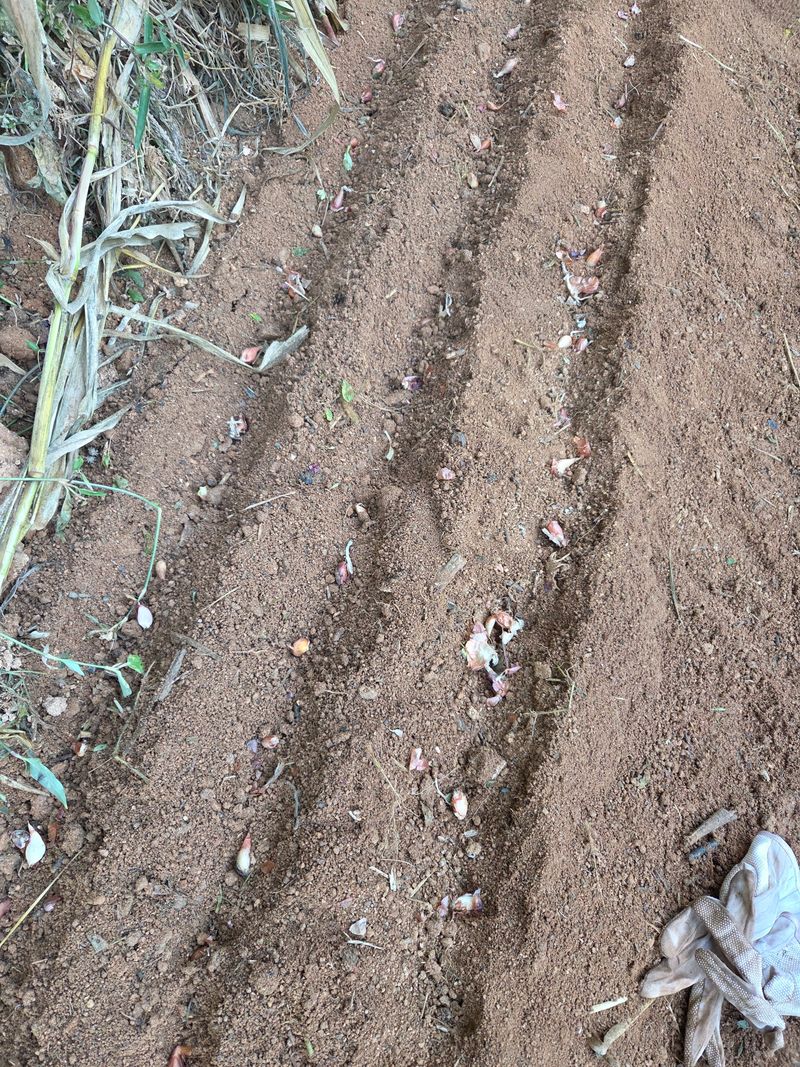 김형태님의 장터 구매 후기 썸네일