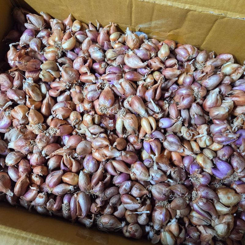 이성원님의 장터 구매 후기 썸네일