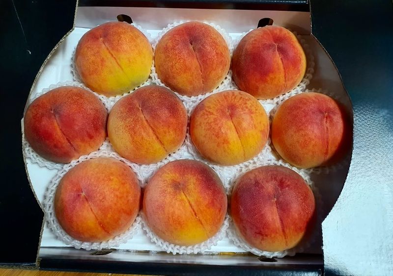 서진옥님의 장터 구매 후기 썸네일