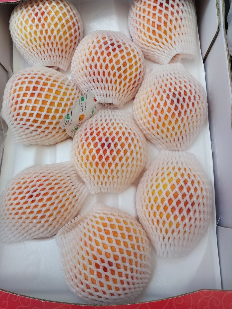 이친구님의 장터 구매 후기 썸네일