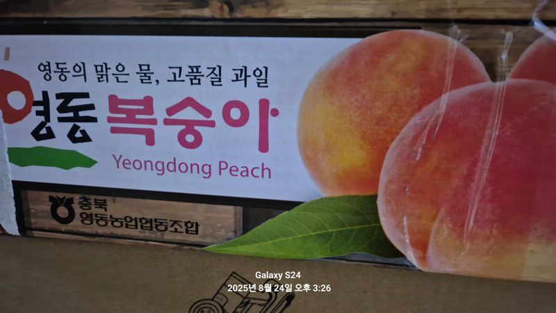 차파는농민(장보고)님의 장터 구매 후기 썸네일