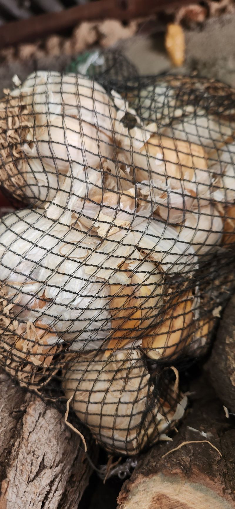 몸이좋은곳님의 장터 구매 후기 썸네일