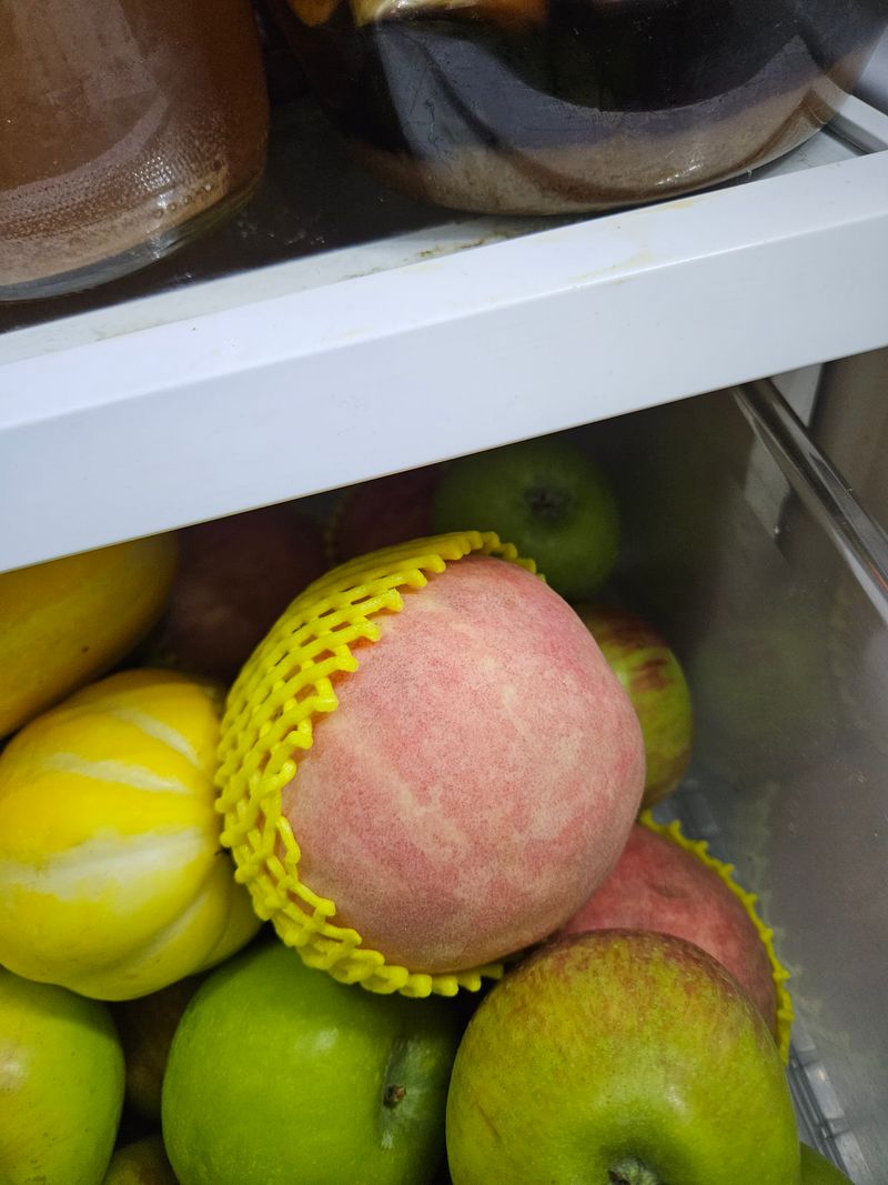 자두8451님의 장터 구매 후기 썸네일