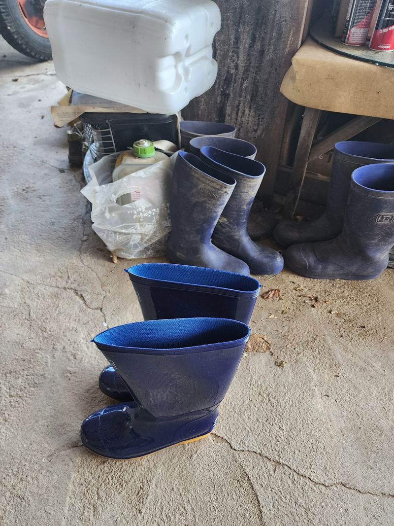 윤님님의 장터 구매 후기 썸네일