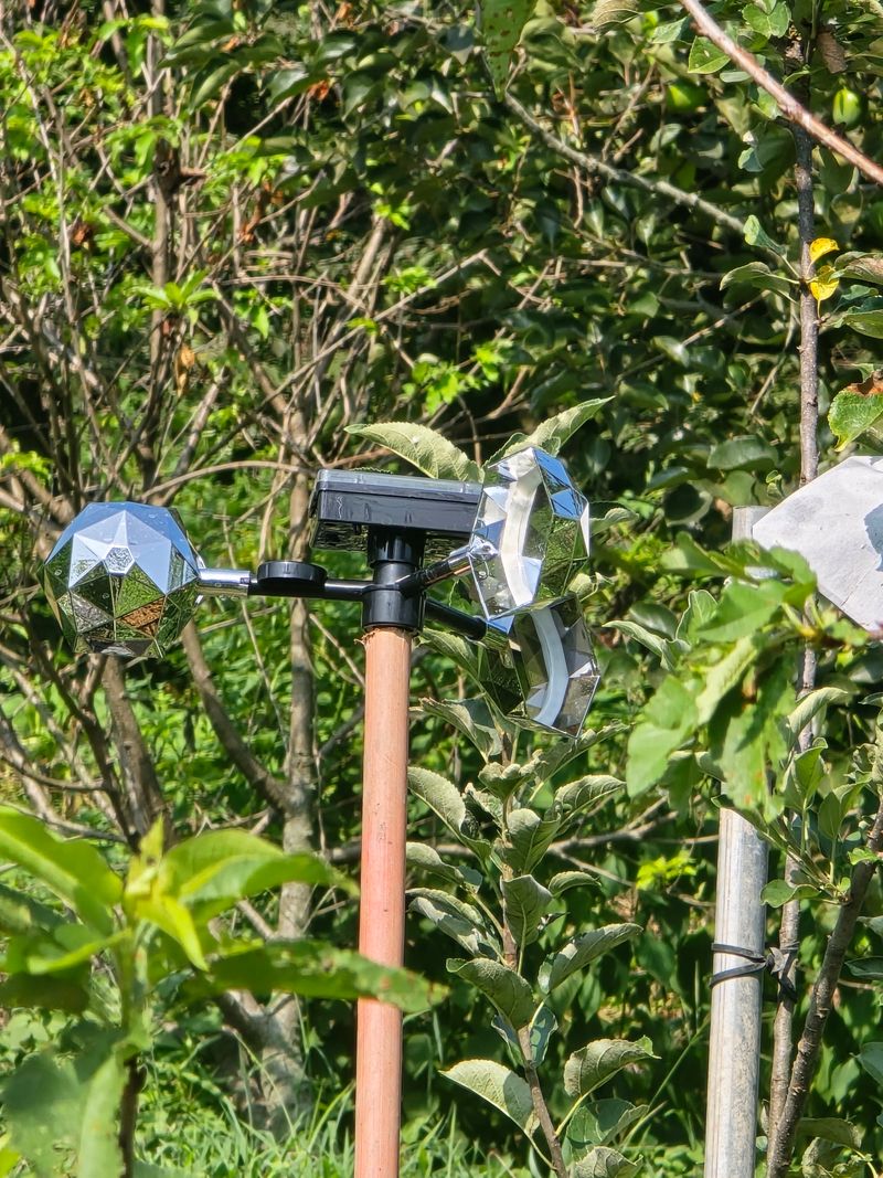 조용오님의 장터 구매 후기 썸네일