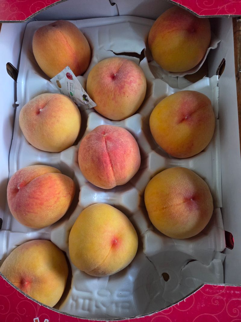 묵동박ㅈ출님의 장터 구매 후기 썸네일