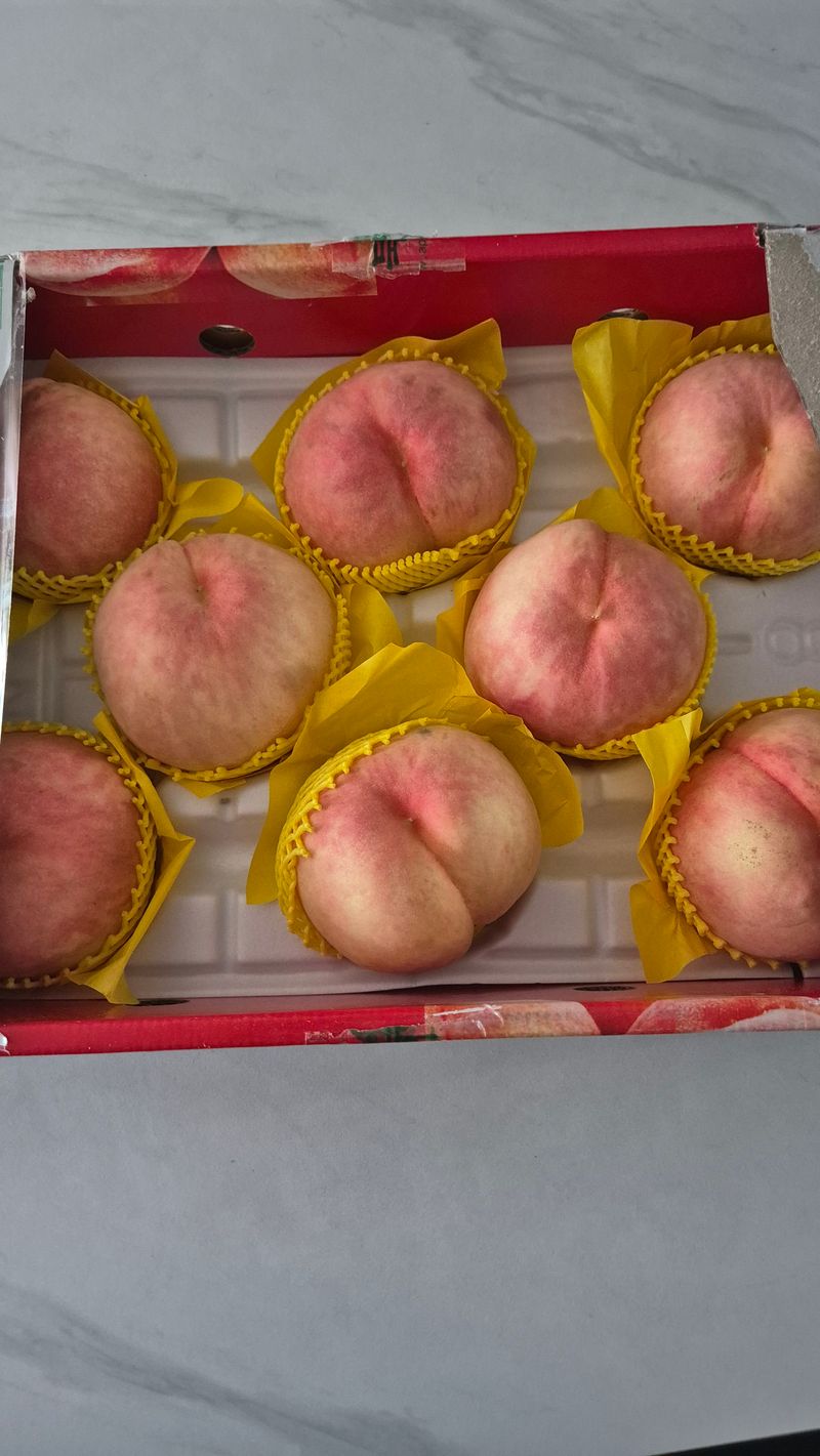 널배님의 장터 구매 후기 썸네일