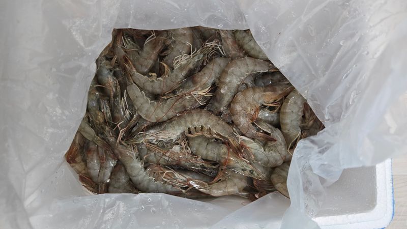 오육공님의 장터 구매 후기 썸네일