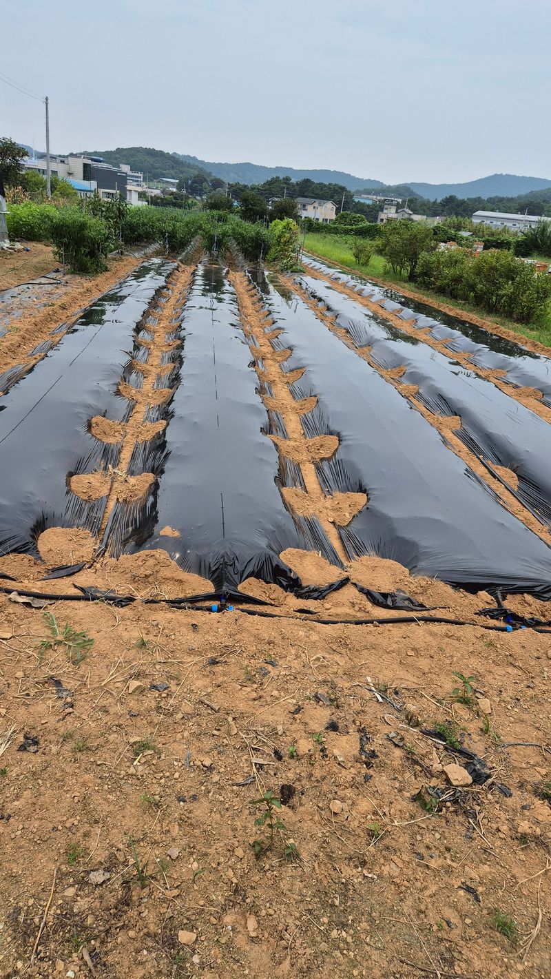 망치님의 장터 구매 후기 썸네일