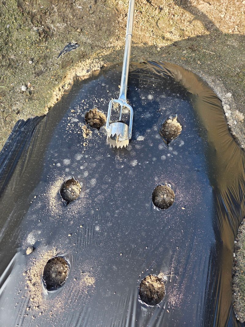 주말농장님의 장터 구매 후기 썸네일