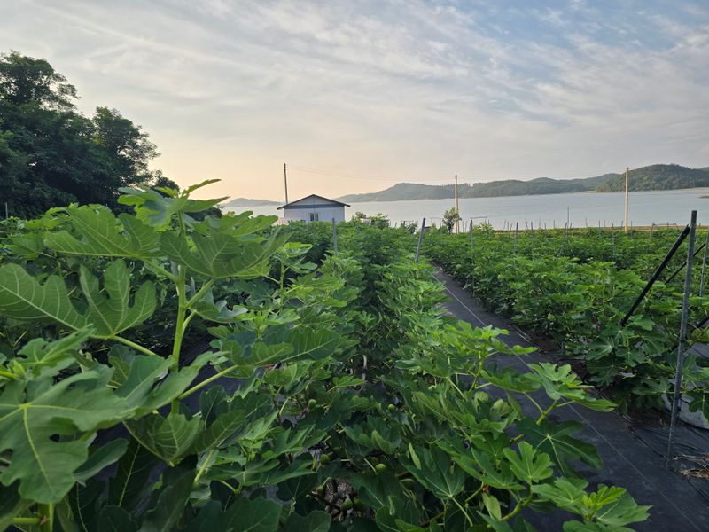 오아성님의 장터 구매 후기 썸네일