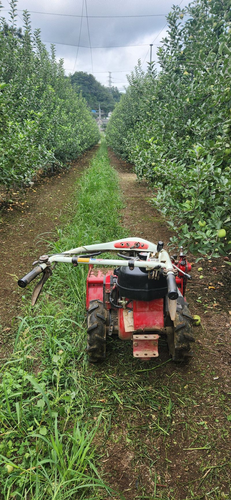 오영세님의 장터 구매 후기 썸네일
