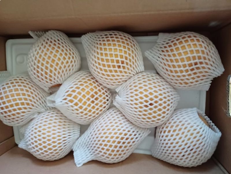 하태명님의 장터 구매 후기 썸네일