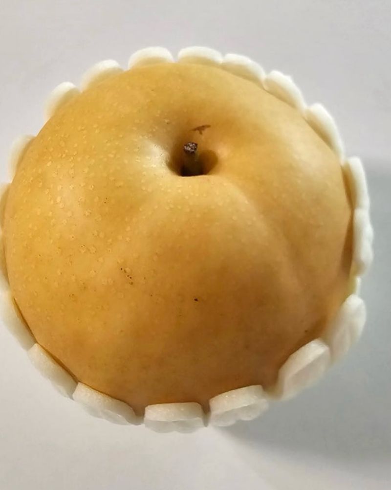 대추18487님의 장터 구매 후기 썸네일