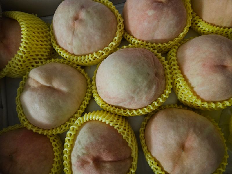 오가피15375님의 장터 구매 후기 썸네일