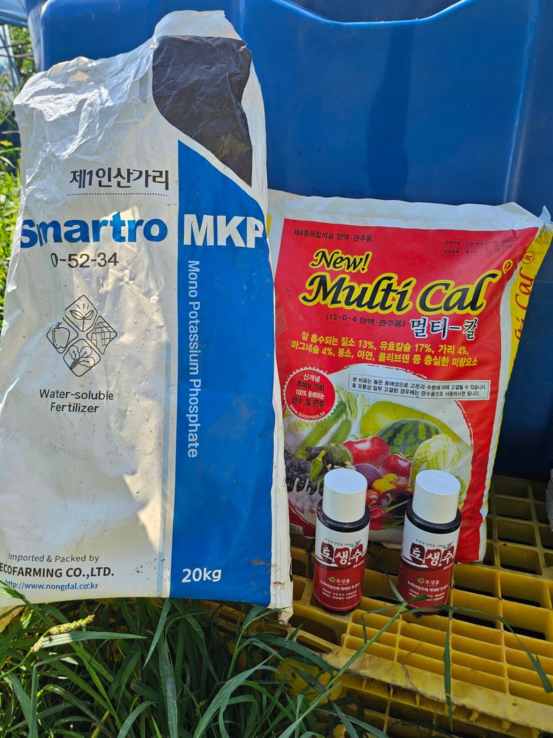 망운천지향토농원님의 장터 구매 후기 썸네일