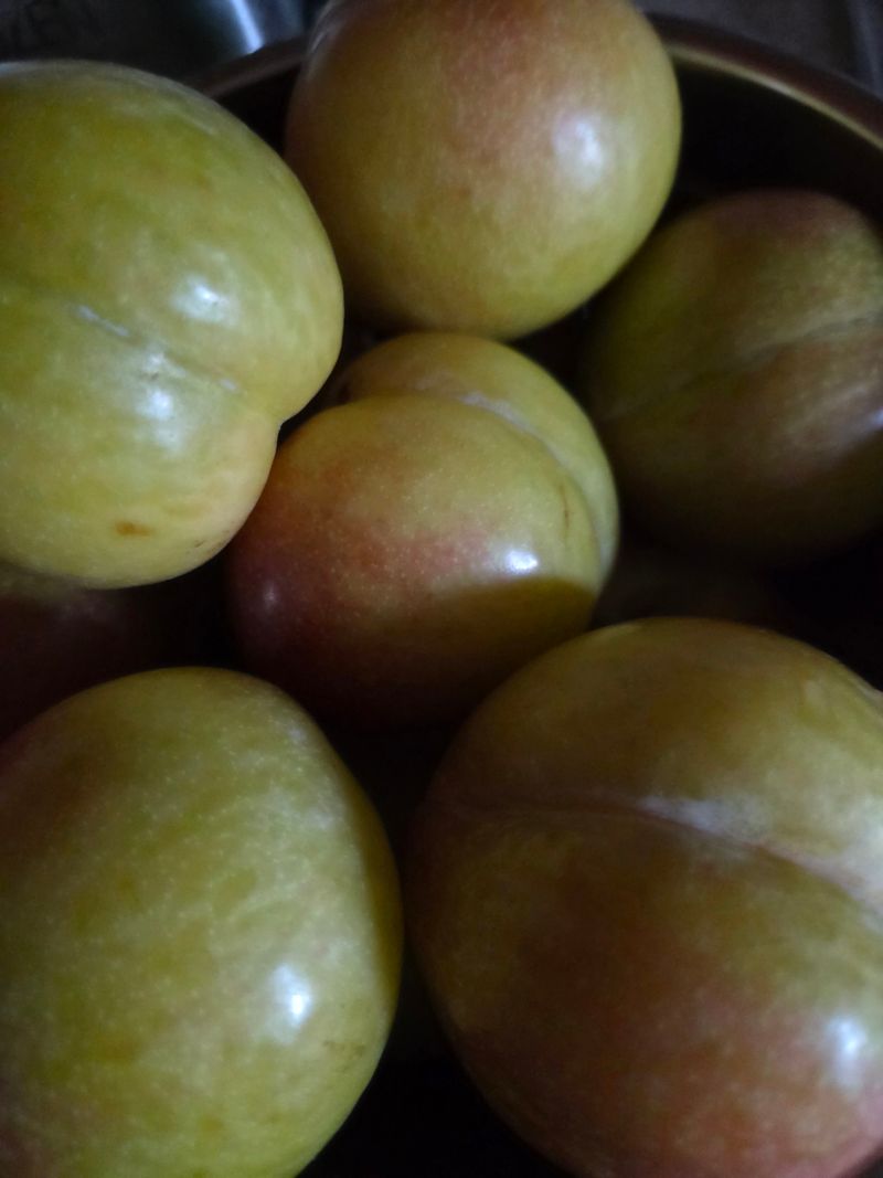 오현백님의 장터 구매 후기 썸네일