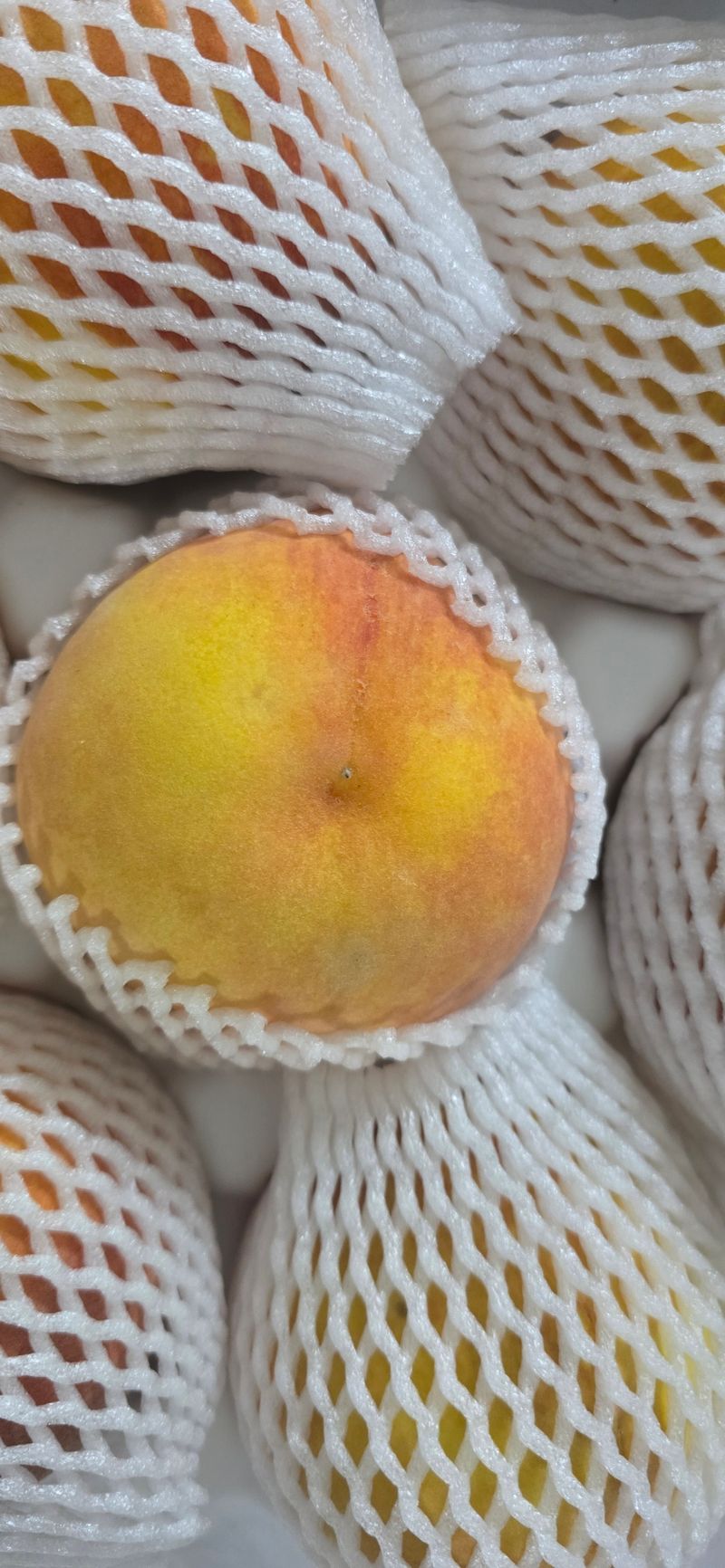 구본일님의 장터 구매 후기 썸네일