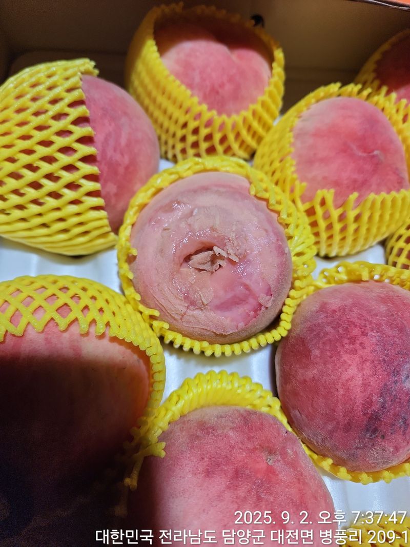 최대한님의 장터 구매 후기 썸네일