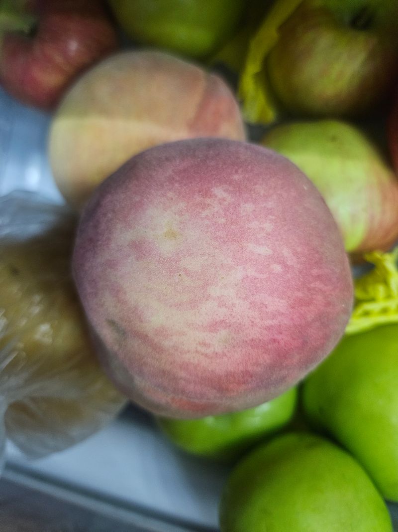 자두8451님의 장터 구매 후기 썸네일