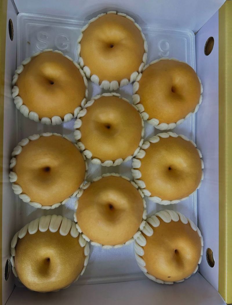 김용억님의 장터 구매 후기 썸네일