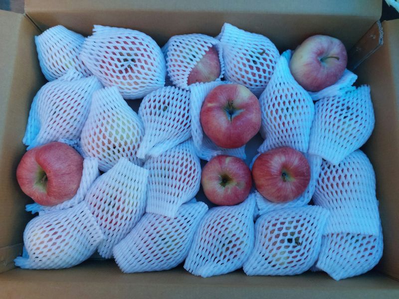 박도이님의 장터 구매 후기 썸네일