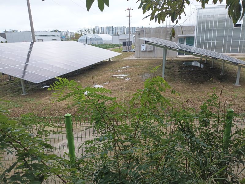 이영학 님의 장터 구매 후기 썸네일