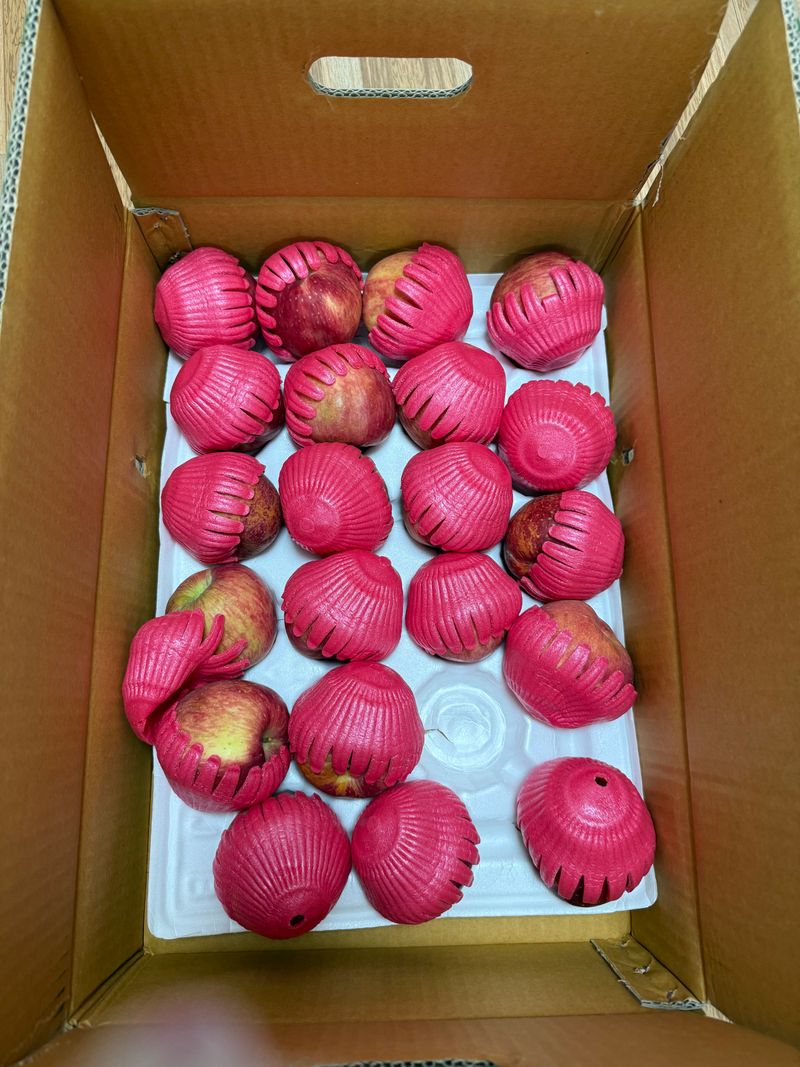 나주상남자님의 장터 구매 후기 썸네일