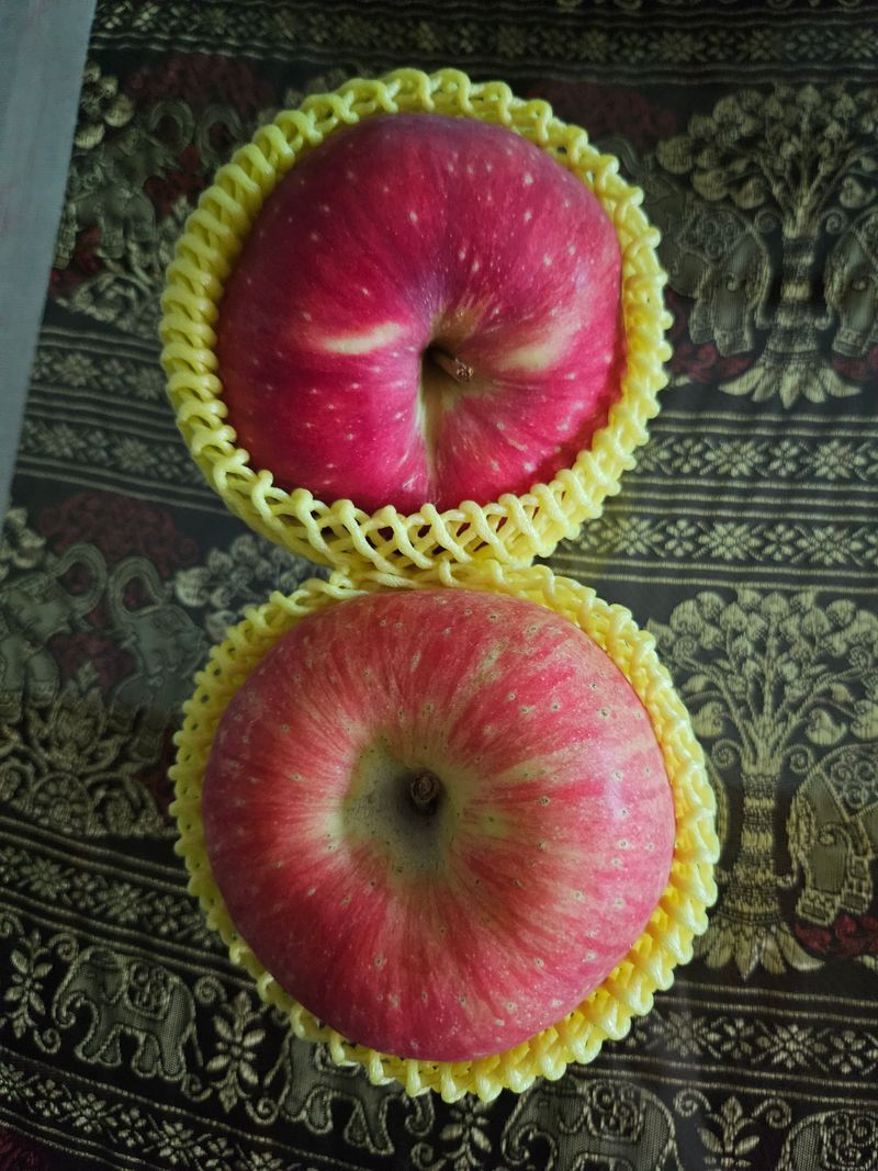 정더기농원님의 장터 구매 후기 썸네일