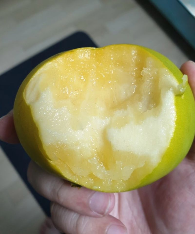 대추18487님의 장터 구매 후기 썸네일