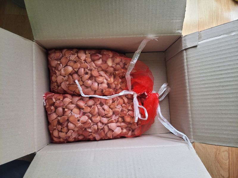 이시형님의 장터 구매 후기 썸네일