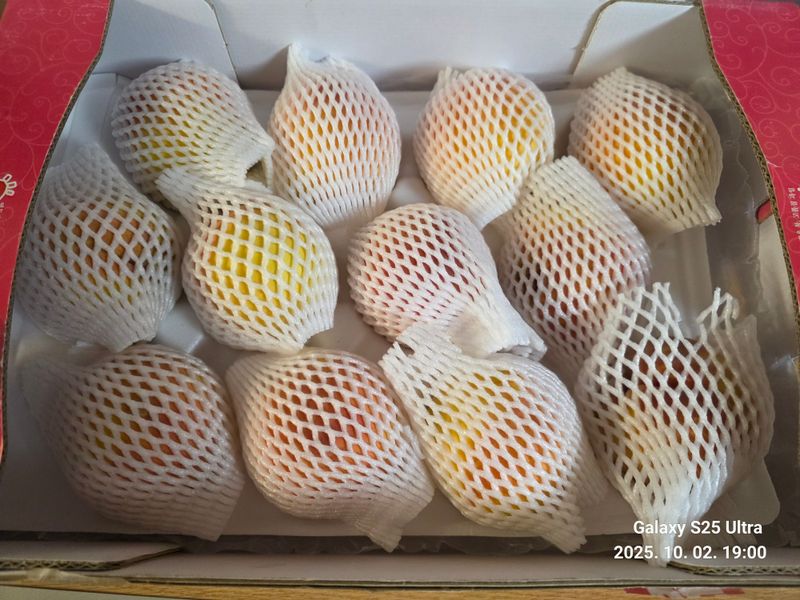 달맛햇복숭아농원님의 장터 구매 후기 썸네일