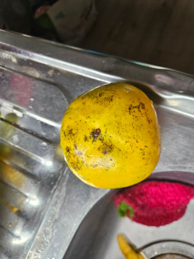 청정농원님의 장터 구매 후기 썸네일