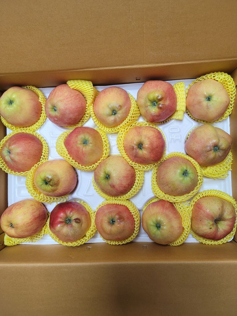 문덕순님의 장터 구매 후기 썸네일