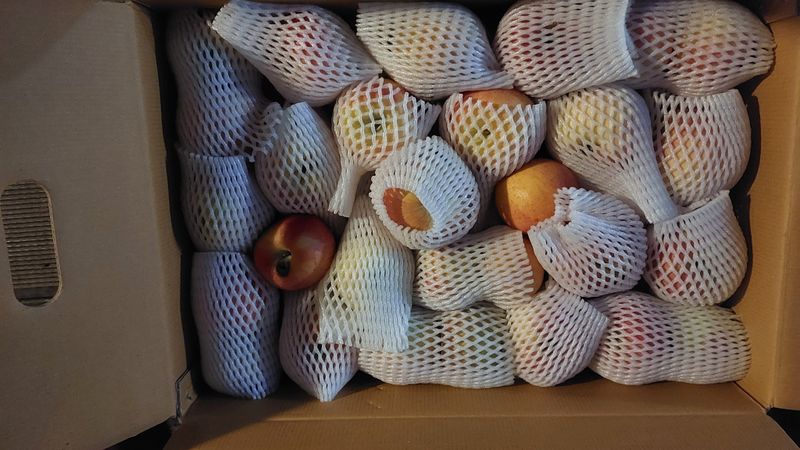 박도이님의 장터 구매 후기 썸네일