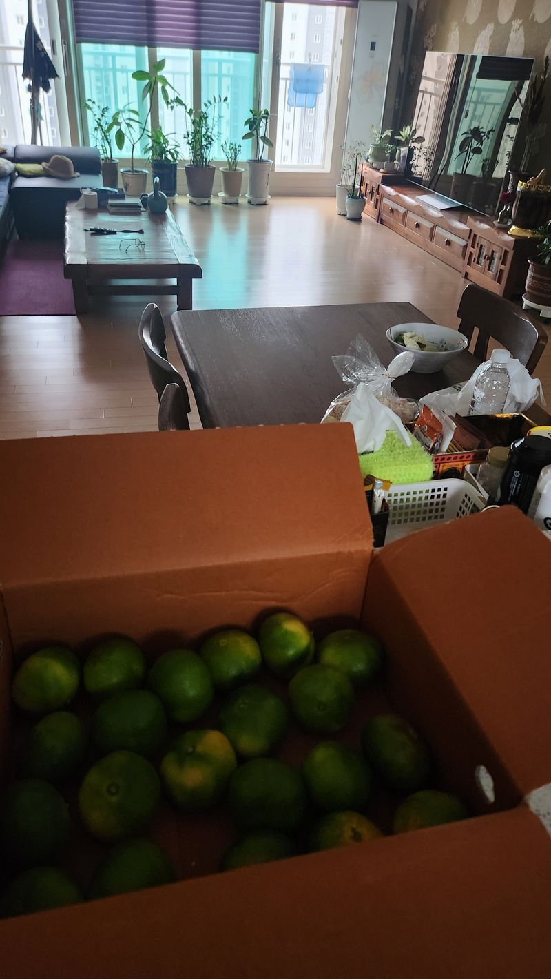 오임묵님의 장터 구매 후기 썸네일